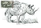 Rhinoceros (Stephanorhinus)