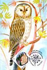 № 750 MC7 - Owl