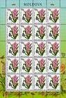 № 751 Kb - Flowers 2011