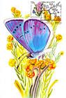 № 751 MC4 - Butterfly and Flowers
