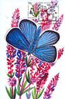 № 751 MC5 - Butterfly and Flowers