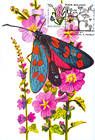 № 751 MC6 - Butterfly and Flowers