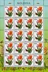 № 752 Kb - Flowers 2011