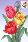№ 752 MC1 - Flowers 2011