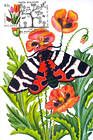 № 752 MC2 - Butterfly and Flowers