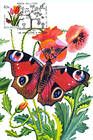 № 752 MC3 - Butterfly and Flowers
