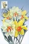 № 753 MC1 - Flowers 2011