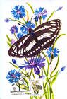 № 753 MC2 - Butterfly and Flowers