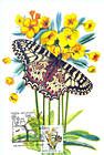 № 753 MC4 - Butterfly and Flowers
