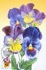 № 754 MC1 - Flowers 2011