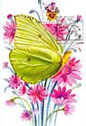 № 754 MC5 - Butterfly and Flowers