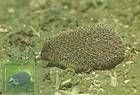 № 760 MC2 - From The Red Book of the Republic of Moldova: Fauna 2011