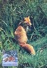 № 762 MC1 - From The Red Book of the Republic of Moldova: Fauna 2011