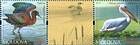 № 763-764Zd - From The Red Book of the Republic of Moldova: Fauna 2011