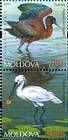 № 763+765Zd - From The Red Book of the Republic of Moldova: Fauna 2011