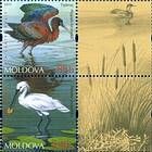 № 763+765ZdZf - From The Red Book of the Republic of Moldova: Fauna 2011