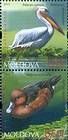 № 764+766Zd - From The Red Book of the Republic of Moldova: Fauna 2011