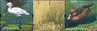 № 765-766Zd - From The Red Book of the Republic of Moldova: Fauna 2011