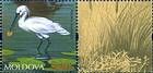 № 765Zf - From The Red Book of the Republic of Moldova: Fauna 2011
