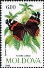 Red Admiral