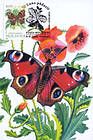 № 79 MC2 - Peacock Butterfly
