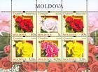 № 805-808 Kb - Розы 2012