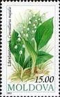 Lily of the Valley