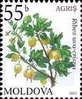 Gooseberry