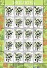 № 824 Kb - Fruiting Shrubs 2013