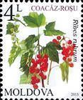 Redcurrant