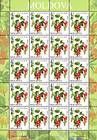 № 828 Kb - Fruiting Shrubs 2013