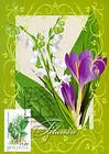 № 82 MC1 - Flowering Plant