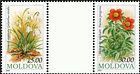 № 83-84MGP - Флора - Цветы 1993