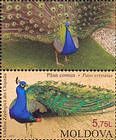 № 833Zf - Zoological Gardens in Chişinău 2013
