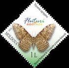 Thysania Agrippina (White Witch Moth)