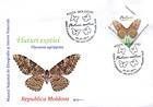 № 838 FDC - Butterflies and Moths (III) 2013