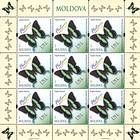 № 839 Kb - Butterflies and Moths (III) 2013