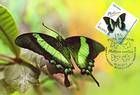 № 839 MC - Butterflies and Moths (III) 2013