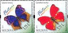 № 840+841ZdH - Butterflies and Moths (III) 2013
