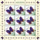 № 840 Kb - Butterflies and Moths (III) 2013