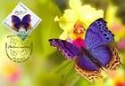 № 840 MC - Butterflies and Moths (III) 2013