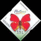 Cymothoe Excelsa (Scalloped Red Glider Butterfly)