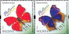 № 841+840ZdH - Butterflies and Moths (III) 2013
