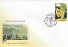 Vineyards