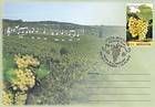 Vineyards