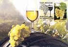 № 849 MC3 - Grapes of Moldova: «Muscat Timpuriu» (Early Muscat) 2013