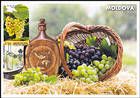 № 849 MC4 - Grapes of Moldova: «Muscat Timpuriu» (Early Muscat) 2013