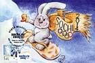 Rabbit on a Snowboard