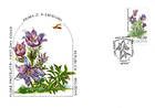 Pasque Flower