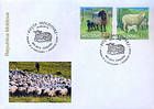 A Flock of Sheep